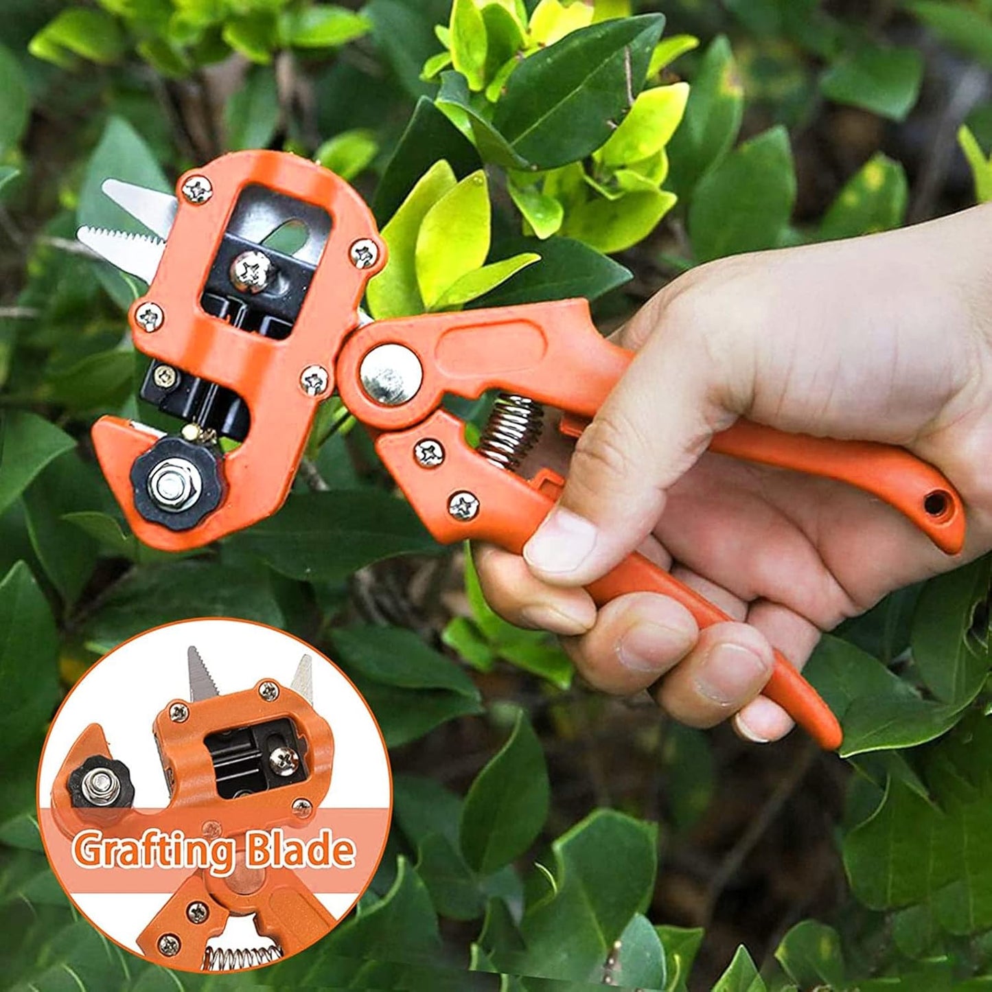 Garden Grafting Tool, Fruit Tree Professional Prune Shear Snip Grafting Cutting Tool, Replaceable V/U/Ω Blades Sturdy, Tree Grafting Kit